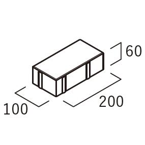 N型 50個/m²